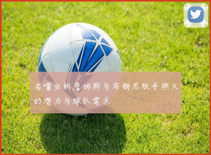 名嘴分析詹姆斯与布朗尼联手热火的潜力与球队需求