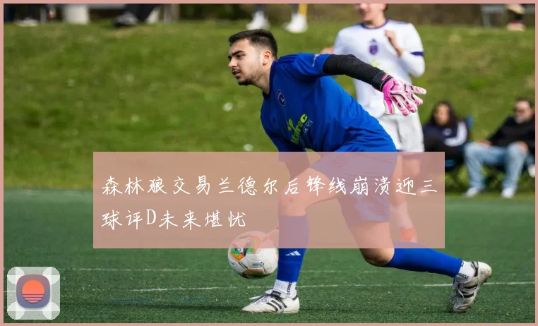 森林狼交易兰德尔后锋线崩溃迎三球评D未来堪忧